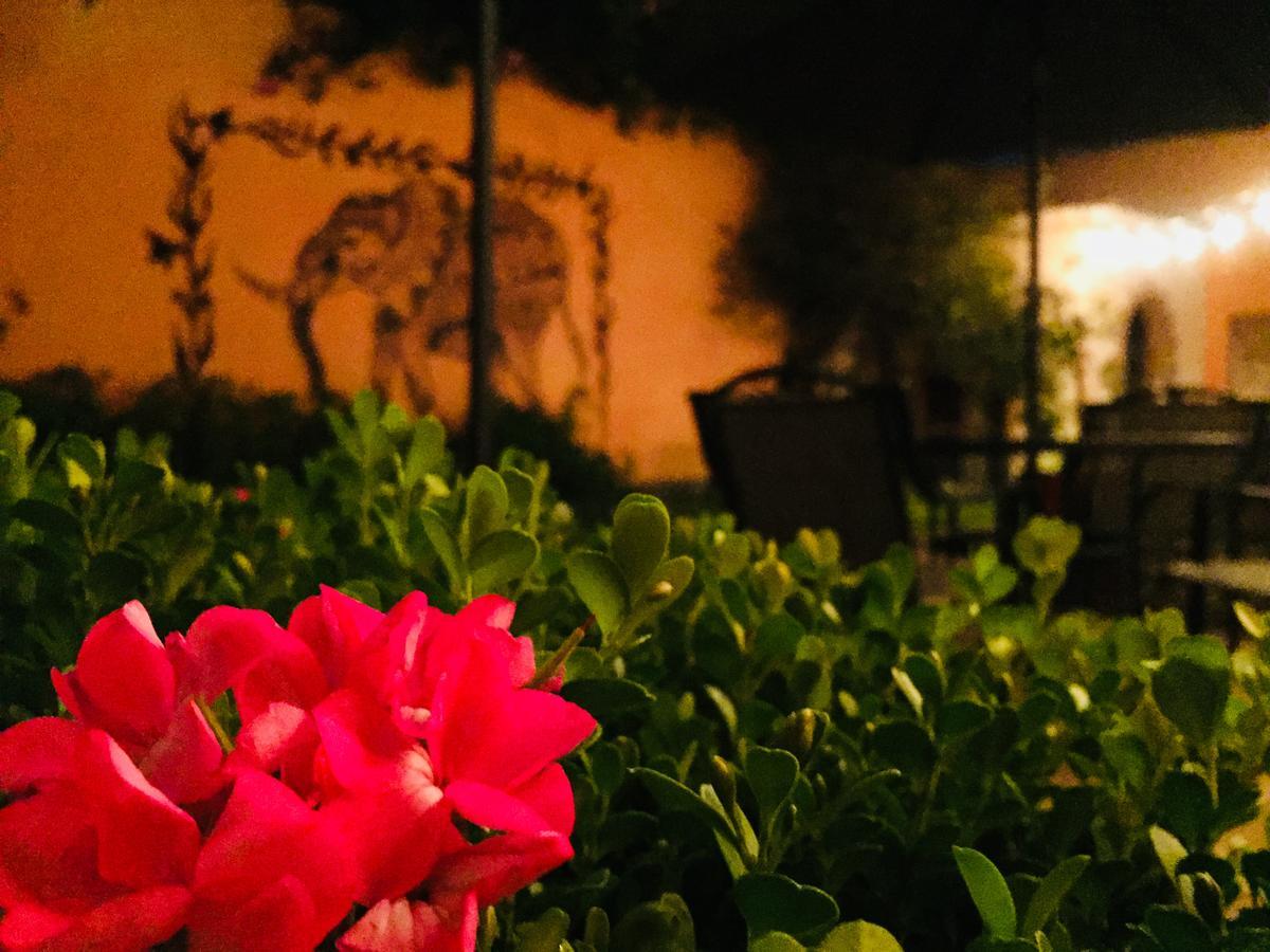 Casa Los Naranjos San Miguel de Allende Luaran gambar